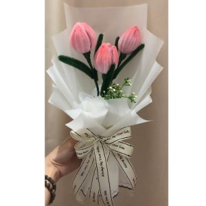 hoa kẽm tulip