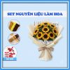 set làm hoa hướng dương